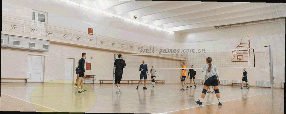 哈尔滨城市天际线与长城体育品牌色融合的抽象轮廓画